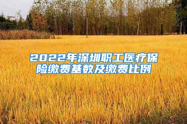 2022年深圳职工医疗保险缴费基数及缴费比例