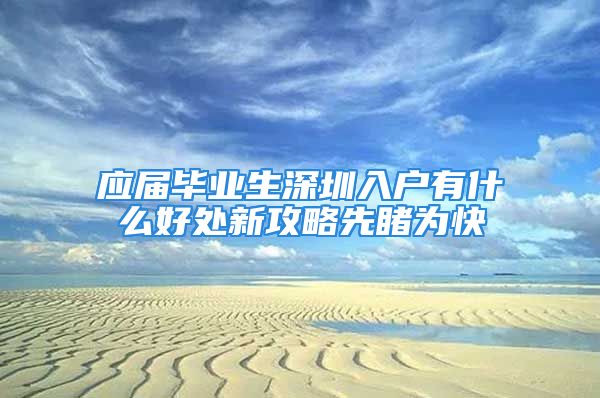 应届毕业生深圳入户有什么好处新攻略先睹为快