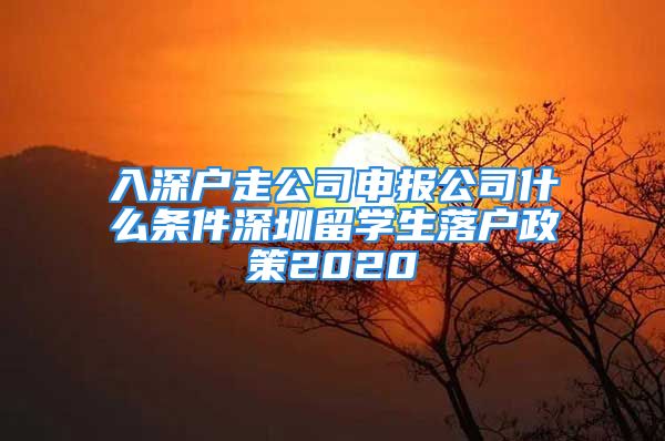 入深户走公司申报公司什么条件深圳留学生落户政策2020