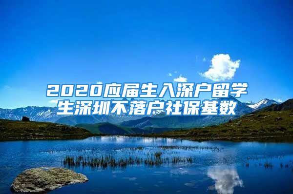 2020应届生入深户留学生深圳不落户社保基数