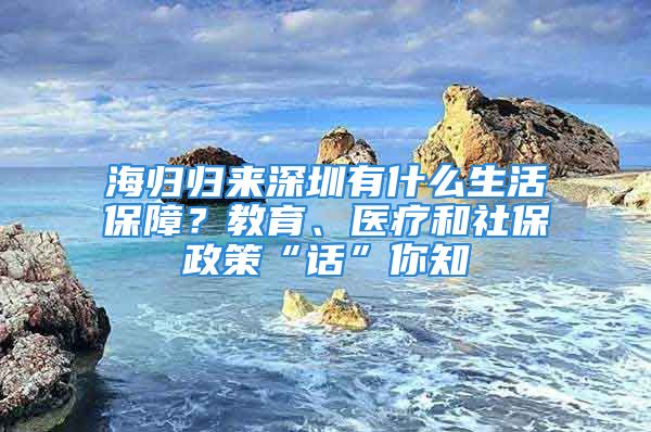 海归归来深圳有什么生活保障？教育、医疗和社保政策“话”你知