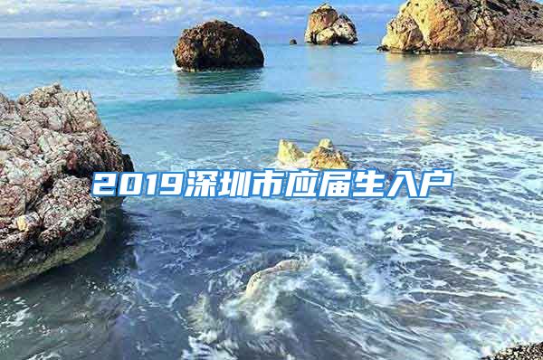 2019深圳市应届生入户