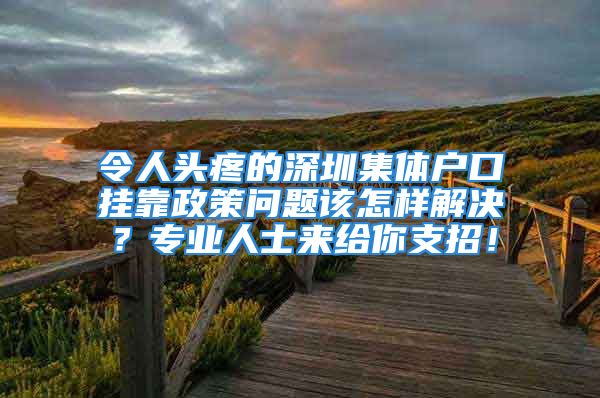 令人头疼的深圳集体户口挂靠政策问题该怎样解决？专业人士来给你支招！