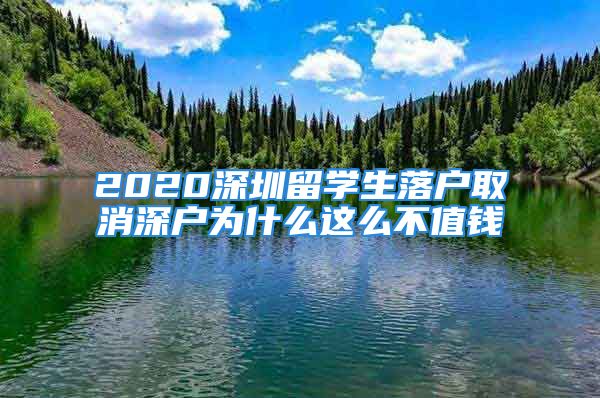 2020深圳留学生落户取消深户为什么这么不值钱