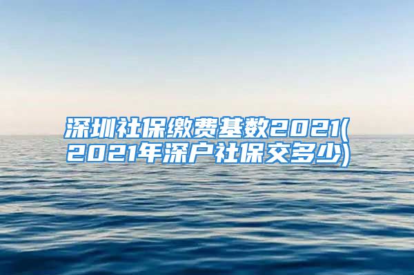 深圳社保缴费基数2021(2021年深户社保交多少)