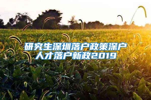 研究生深圳落户政策深户人才落户新政2019