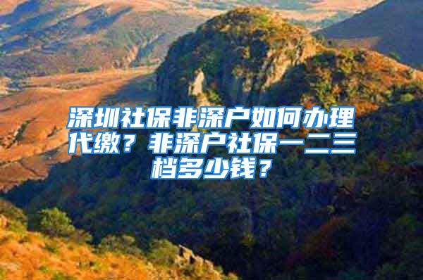 深圳社保非深户如何办理代缴？非深户社保一二三档多少钱？