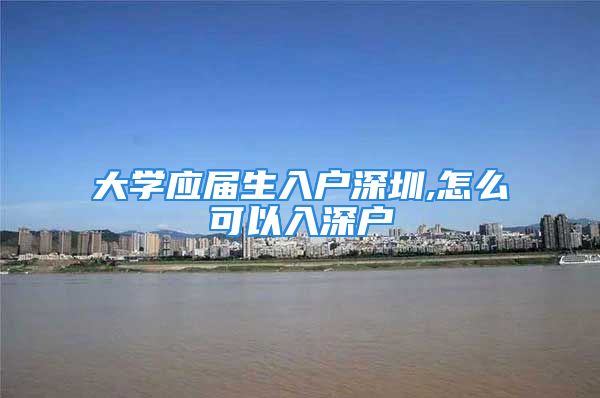 大学应届生入户深圳,怎么可以入深户