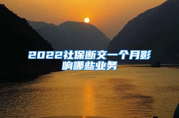 2022社保断交一个月影响哪些业务