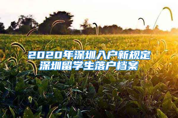 2020年深圳入户新规定深圳留学生落户档案