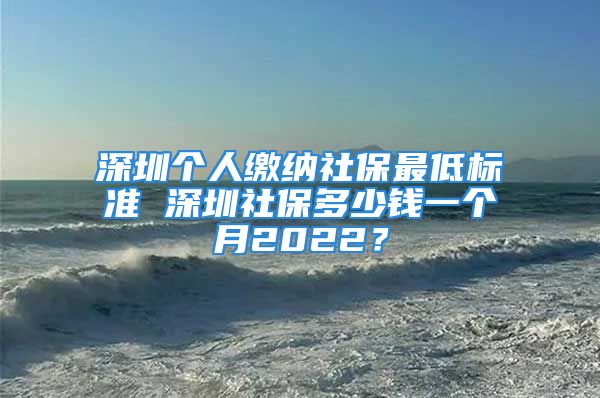 深圳个人缴纳社保最低标准 深圳社保多少钱一个月2022？