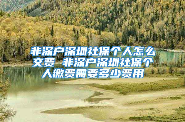 非深户深圳社保个人怎么交费 非深户深圳社保个人缴费需要多少费用