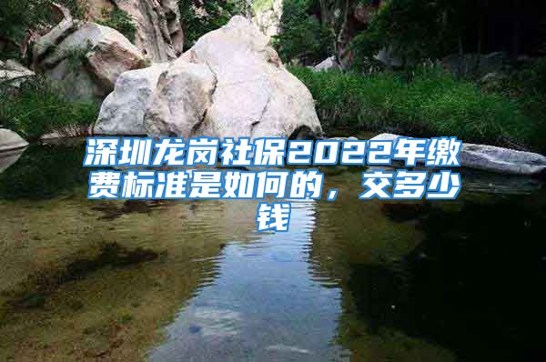 深圳龙岗社保2022年缴费标准是如何的，交多少钱