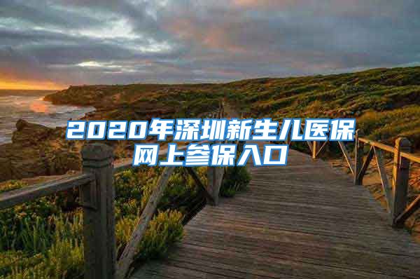 2020年深圳新生儿医保网上参保入口