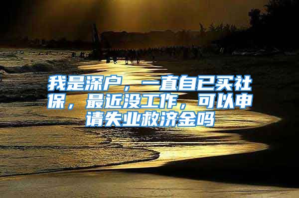 我是深户，一直自已买社保，最近没工作，可以申请失业救济金吗