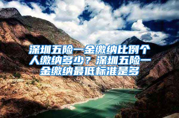 深圳五险一金缴纳比例个人缴纳多少？深圳五险一金缴纳最低标准是多