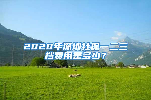 2020年深圳社保一二三档费用是多少？