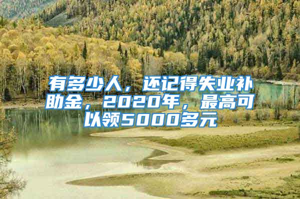 有多少人，还记得失业补助金，2020年，最高可以领5000多元