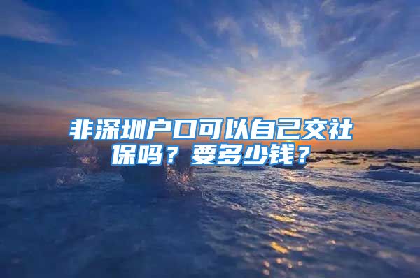 非深圳户口可以自己交社保吗？要多少钱？