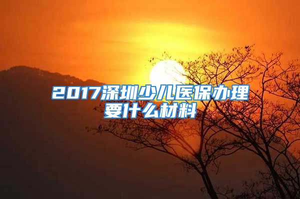 2017深圳少儿医保办理要什么材料