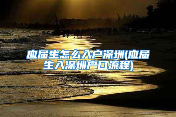 应届生怎么入户深圳(应届生入深圳户口流程)