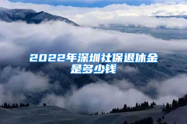 2022年深圳社保退休金是多少钱