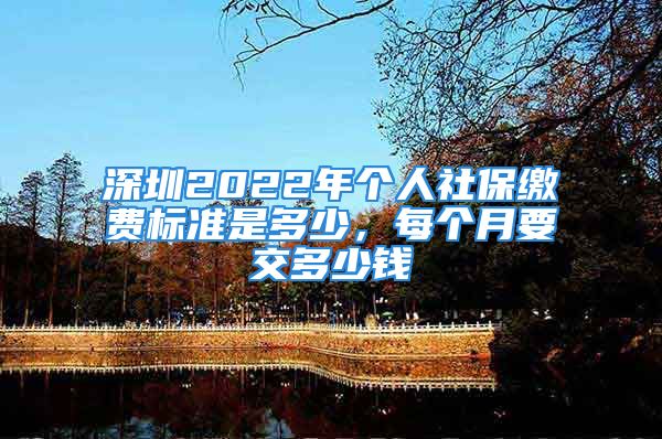 深圳2022年个人社保缴费标准是多少，每个月要交多少钱