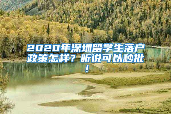 2020年深圳留学生落户政策怎样？听说可以秒批！