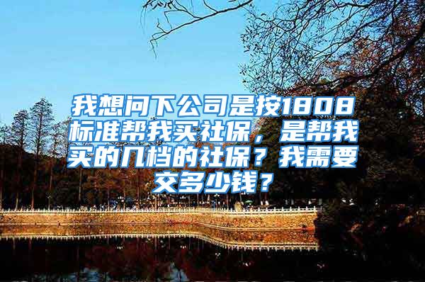 我想问下公司是按1808标准帮我买社保，是帮我买的几档的社保？我需要交多少钱？