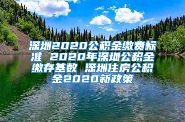 深圳2020公积金缴费标准 2020年深圳公积金缴存基数 深圳住房公积金2020新政策