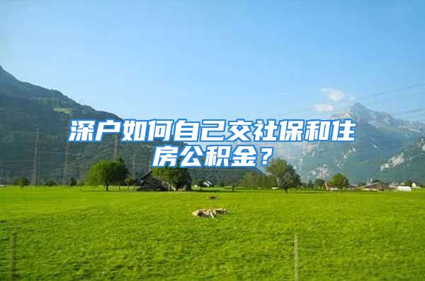 深户如何自己交社保和住房公积金？