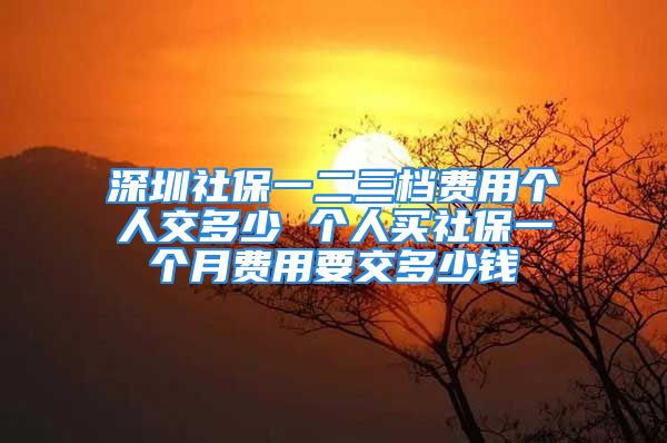 深圳社保一二三档费用个人交多少 个人买社保一个月费用要交多少钱