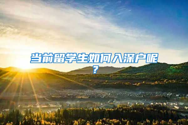 当前留学生如何入深户呢？