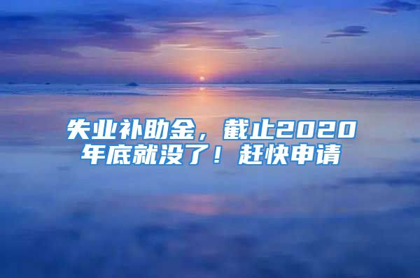 失业补助金，截止2020年底就没了！赶快申请