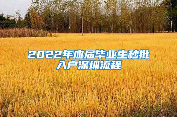 2022年应届毕业生秒批入户深圳流程