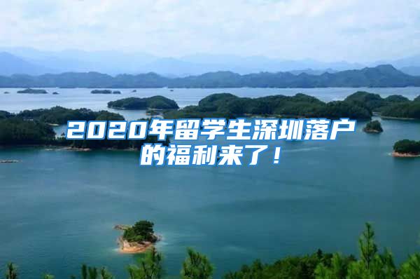 2020年留学生深圳落户的福利来了！