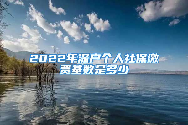 2022年深户个人社保缴费基数是多少