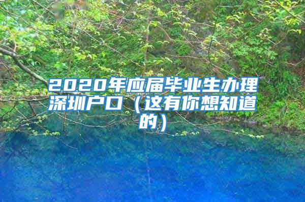 2020年应届毕业生办理深圳户口（这有你想知道的）