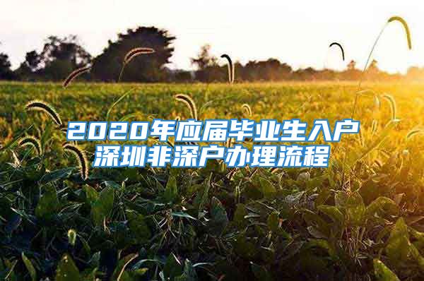 2020年应届毕业生入户深圳非深户办理流程