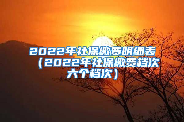 2022年社保缴费明细表（2022年社保缴费档次六个档次）