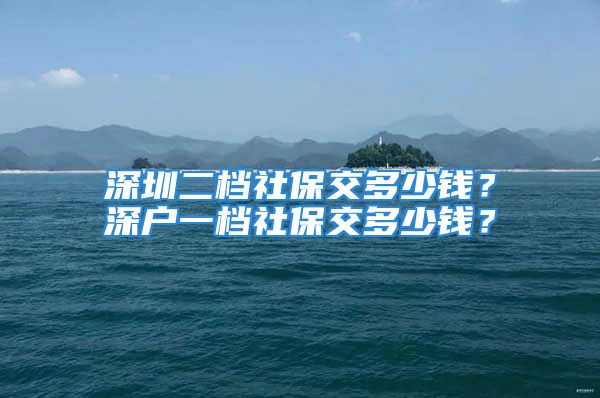 深圳二档社保交多少钱？深户一档社保交多少钱？