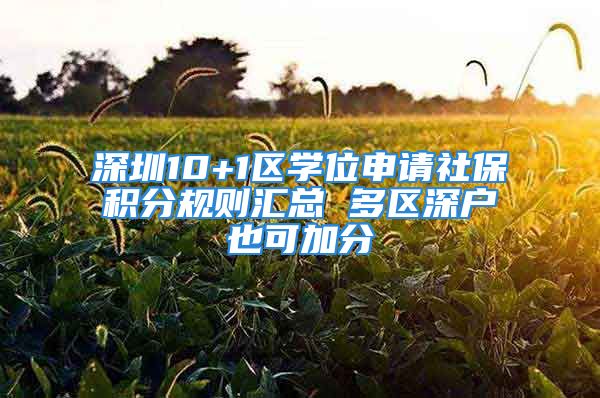 深圳10+1区学位申请社保积分规则汇总 多区深户也可加分