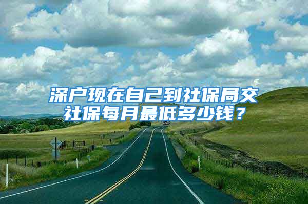 深户现在自己到社保局交社保每月最低多少钱？