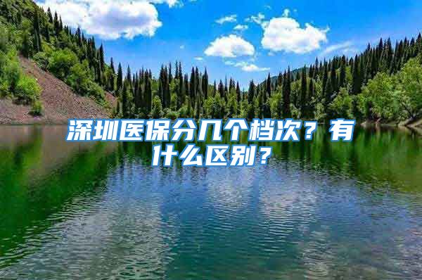 深圳医保分几个档次？有什么区别？