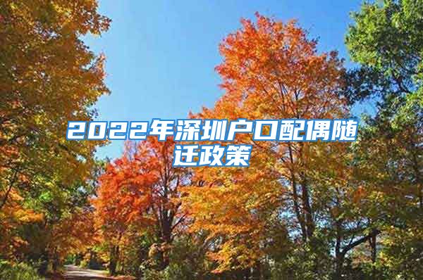 2022年深圳户口配偶随迁政策