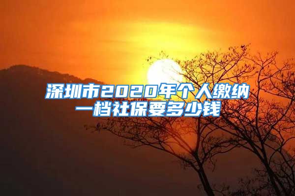 深圳市2020年个人缴纳一档社保要多少钱