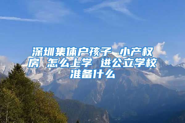 深圳集体户孩子 小产权房 怎么上学 进公立学校准备什么