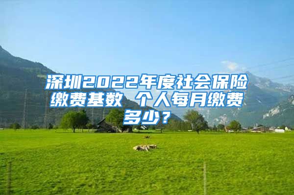 深圳2022年度社会保险缴费基数 个人每月缴费多少？