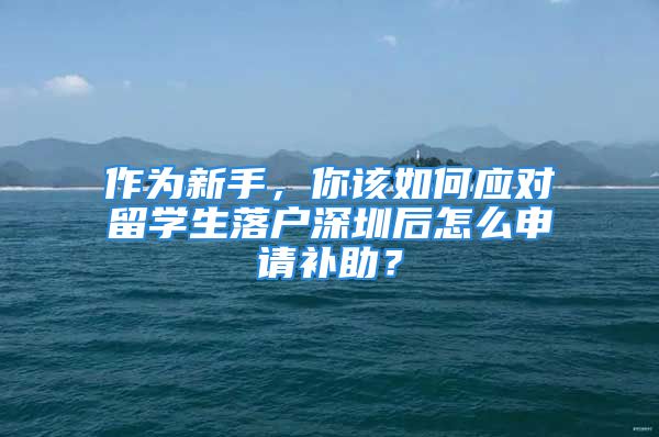 作为新手，你该如何应对留学生落户深圳后怎么申请补助？