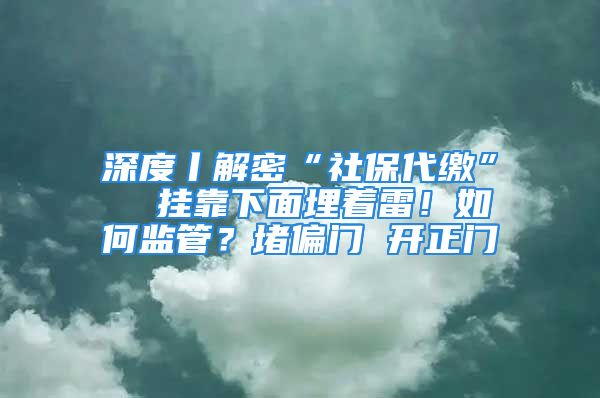 深度丨解密“社保代缴”  挂靠下面埋着雷！如何监管？堵偏门 开正门